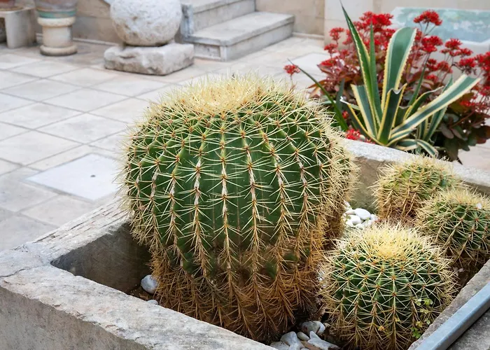 公寓 Atenaion 奥特朗托