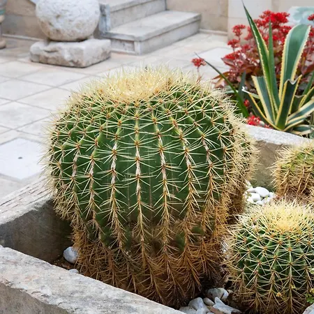 Appartement Atenaion Otrante